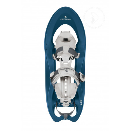 Snowshoe Lys Special