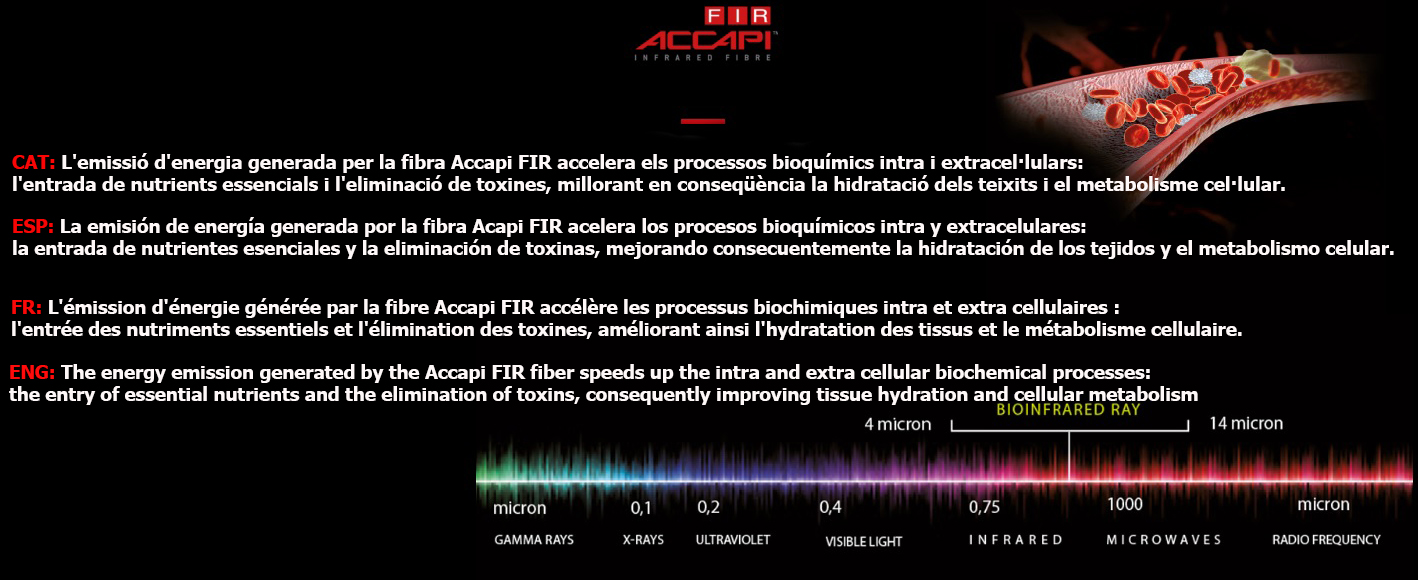 Accapi%20FIT.jpg